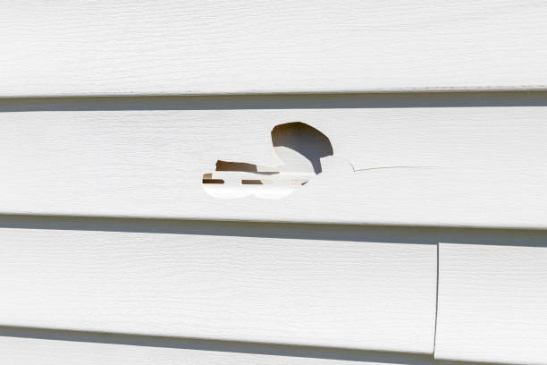 Best Moving and Downsizing Cleanouts  in Choteau, MT