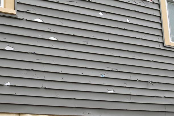 Best Recycling Services for Junk  in Choteau, MT
