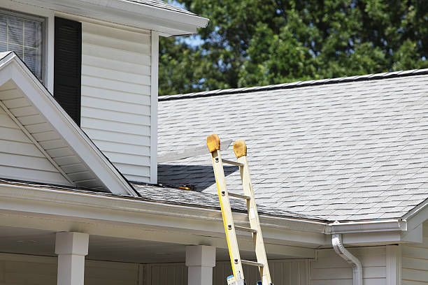 Best Hoarding Cleanup  in Choteau, MT