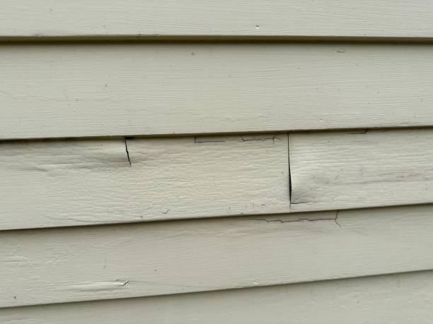 Trusted Choteau, MT Junk Removal Experts
